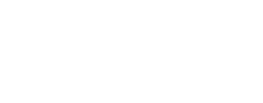 News – Reykjavík Open 2024